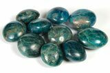 Polished Blue Apatite Stones - 1 to 1 1/2" - Photo 2